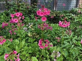 散策に行きました。