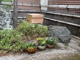 ミツバチの巣箱設置しました！