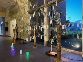 七夕の夜★ライトダウンで幻想的な空間に♪