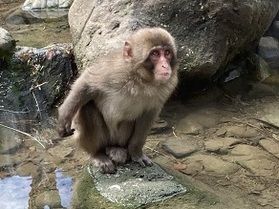 松本アルプス公園