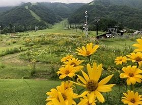 季節の植物を楽しめます！