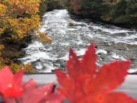 竜頭の滝人気の紅葉のスポット
