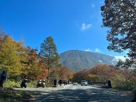 紅葉の仕組み