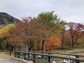 日光駅から近いおすすめのお店の紹介。