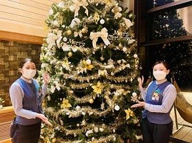 気分はもうクリスマス！？　クリスマスツリーが輝き始めました。