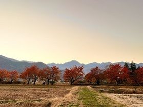 どんな紅葉がお好きですか？？