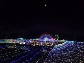 鮮やかに彩られるあづみの公園