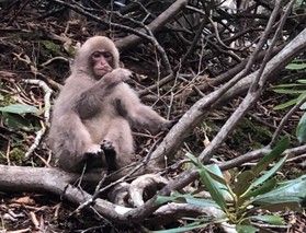 休暇村の周辺をお散歩しました。