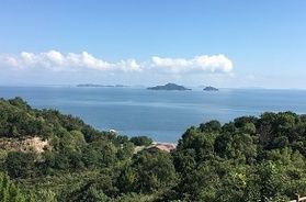 毎朝実施!お散歩会♪