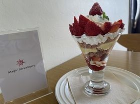 安曇野の恵みたっぷりのイチゴ