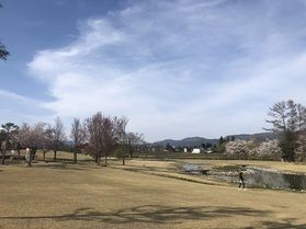お散歩日和の日は公園で過ごしませんか！