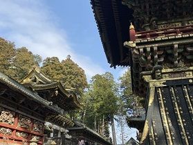 徳川家康公ゆかりの地