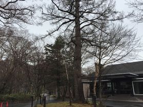 本日の奥日光