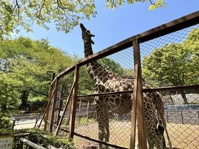 動物園で楽しもう！！