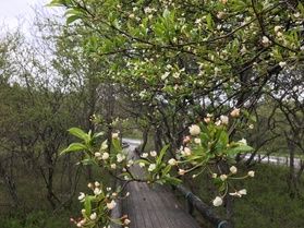 本日の奥日光