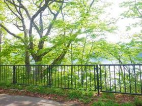 爽やかなエゾハルゼミの声に乗って・・・