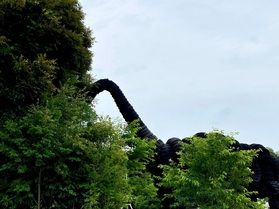 もしかして!UMA(未確認生物)なのか?