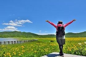 【2023年小郡沼濕地】黃花菜開花最新信息