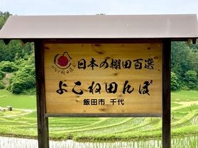 初夏のよこね田んぼ 2023年6月