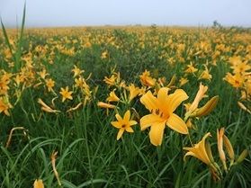 【Fukushima】Oguni-numa