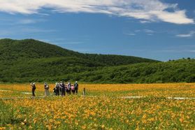 裏磐梯季節の花だより ~ これから咲く野草