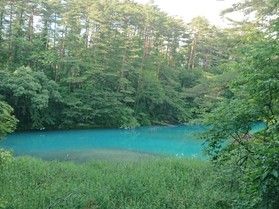 徒歩10分で出会えます~青沼~