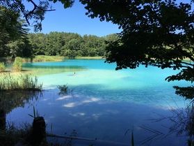 木洩れを浴びて 五色沼を歩いてきました