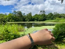 ぜひ晴れた日に…「レンゲ沼」