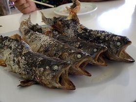 大人から子供まで楽しめる~魚つかみ体験~