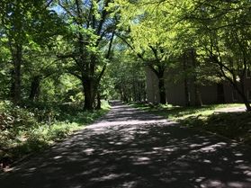 本日の奥日光