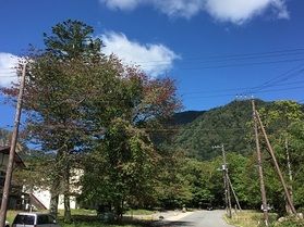 本日の奥日光