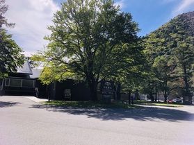 本日の奥日光