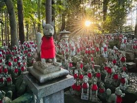 さぁ!きつねダンスの時間だ!<br>豊川市【豊川稲荷】