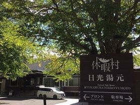本日の奥日光