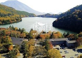 紅葉の見頃はいつ?