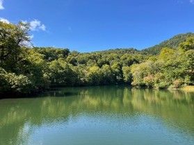 🍁紅葉情報🍁【小谷村　鎌池】