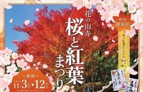 サクラとモミジを楽しむ山寺散策