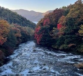 秋に竜頭の滝見に行きませんか。