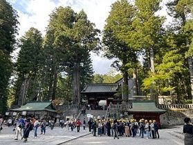 日光東照宮周辺の紅葉状況