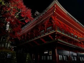 世界遺産 ライトアップされます!