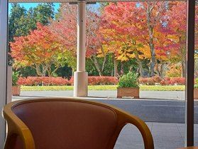 🍁今が見ごろ!蒜山・大山紅葉情報🍁紅葉ドライブへGO!