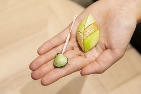 お土産にいかがですか？♪