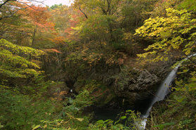 紅葉と滝のコラボが美しい「不動滝」