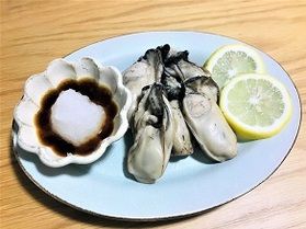今年もオープンします！牡蠣の直売所「うみのミルク」