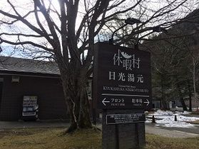 本日の奥日光