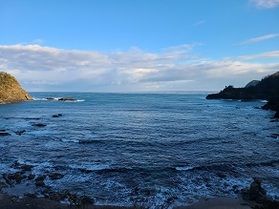 海の沖合に見えたものは!?