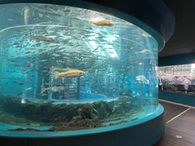 森の中の水族館