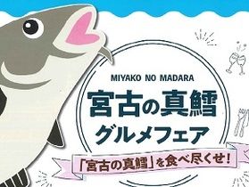 宮古の真鱈グルメフェア開催中です!
