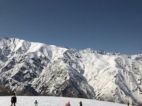 スキー場　積雪情報