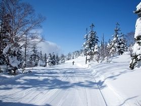 網張温泉スキー場インフォメーション